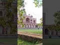 #nature #viral