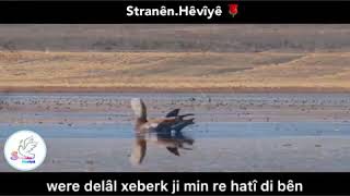 Ay Delal Ay. Geçmişe Götüren Dengbeji.