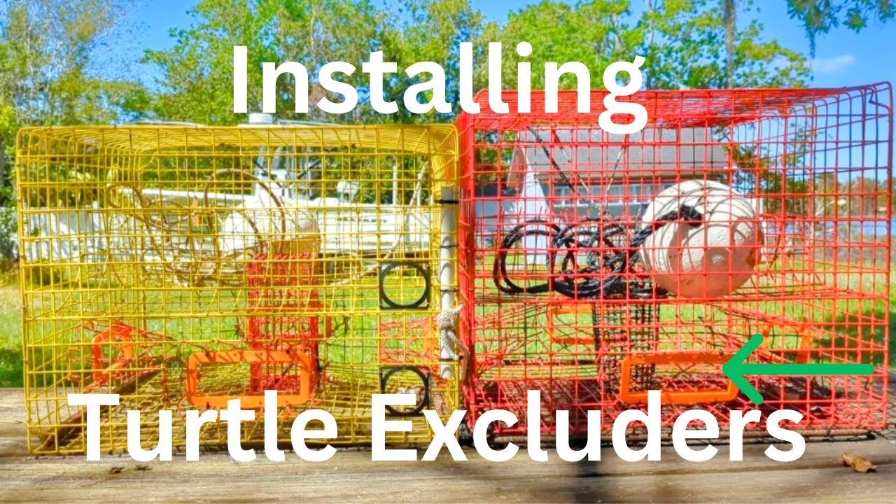 Making Our BLUE CRAB Traps Pots} LEGAL