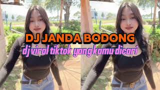 Download Lagu DJ JANDA BODONG MP3