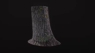 Scanned Tree Trunk