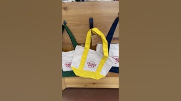 Trader Joe’s mini tote bag is back! #traderjoes #fun