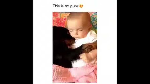 I will Be your Virtual Assistant for Data Entry , Web Research, etc...