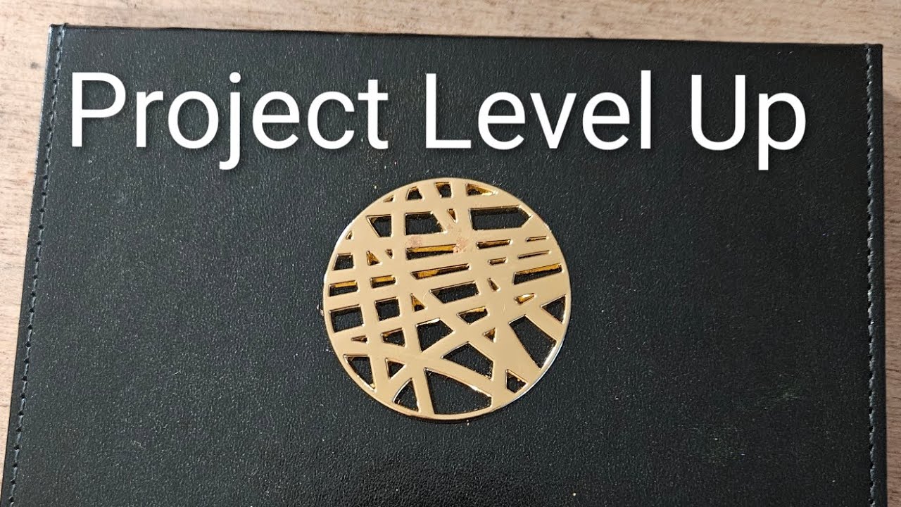 Project Level Up Intro