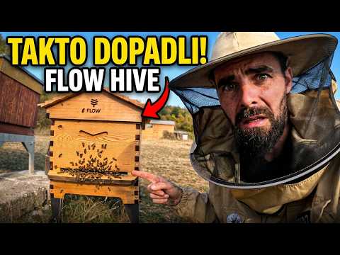 Celý rok som testoval Flow Hive. Takto dopadli včely. 🐝🍯