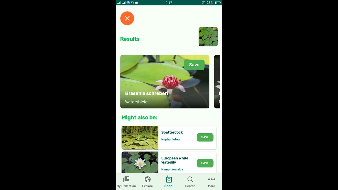 PlantSnap identifies a Watershield (Brasenia schreberi)
