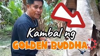 Nakakita ng Kambal ng Golden Buddha (TAMBOCHO)