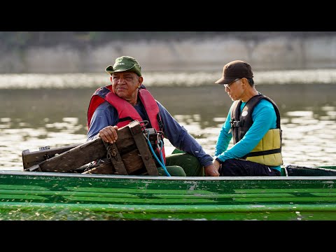 Diário de Campo - Rio Negro | Primeiras coletas (ep. 2)