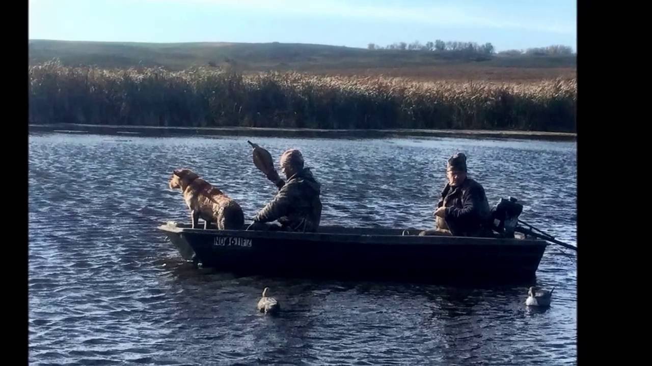 North Dakota Waterfowl Hunting 2016 YouTube