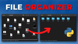 Automate Your File Organization with Python Script!