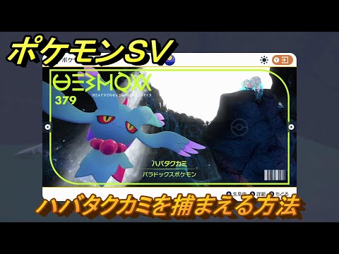 ポケモンＳＶ　ハバタクカミを捕まえる方法！出現場所は？図鑑No.３７９　ポケモン図鑑を埋めよう！　【スカーレット・バイオレット】