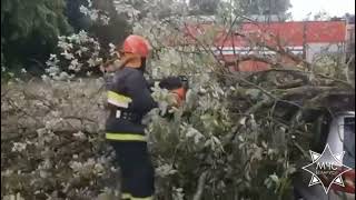 06.08.2023 Гродненская область, непогода