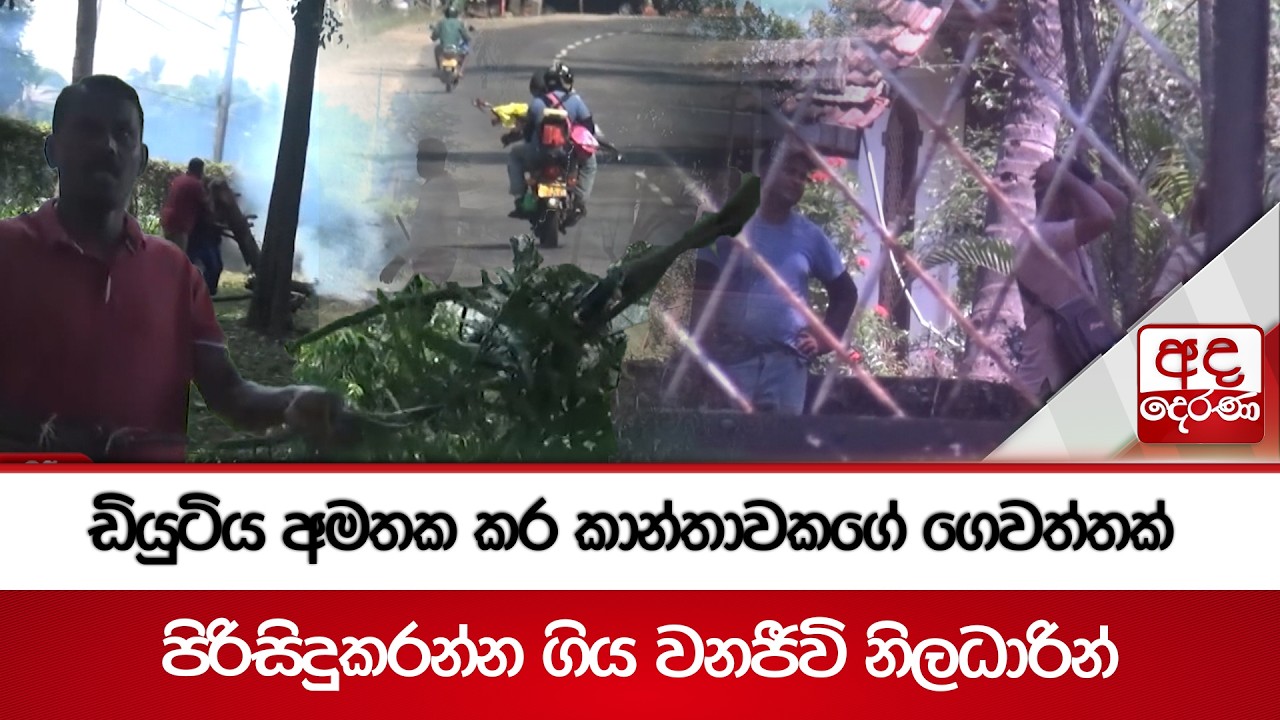 ඩියුටිය අමතක කර කාන්තාවකගේ ගෙවත්තක් පිරිසිදුකරන්න ගිය වනජීවි නිලධාරින් | Ada Derana