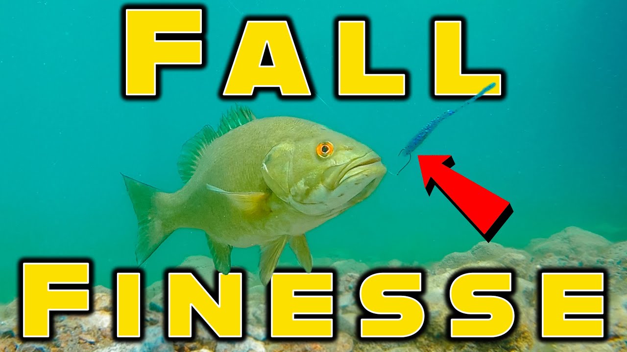 Best Finesse Baits For Fall Bass Fishing! 