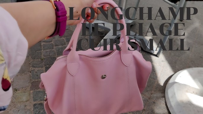 Longchamp Cuir Small and Medium Comparison (Part 2) What's in