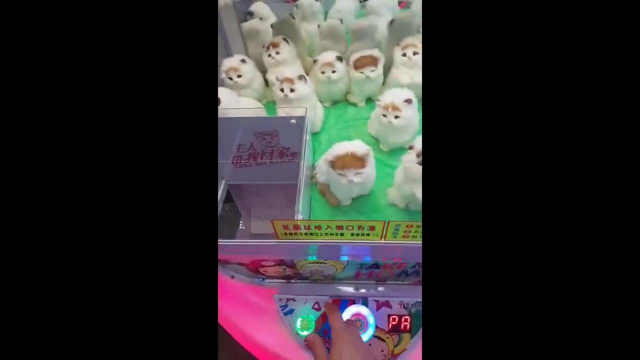 84 Crazy toy 2 YouTube