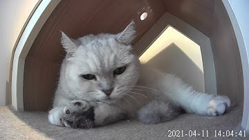 VIONMIO R8 Mini Wi-Fi Camera Footage