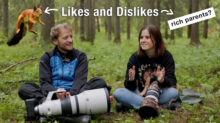 How to Make Money as a Wildlife Photographer - with @DaniConnorWild thumbnail