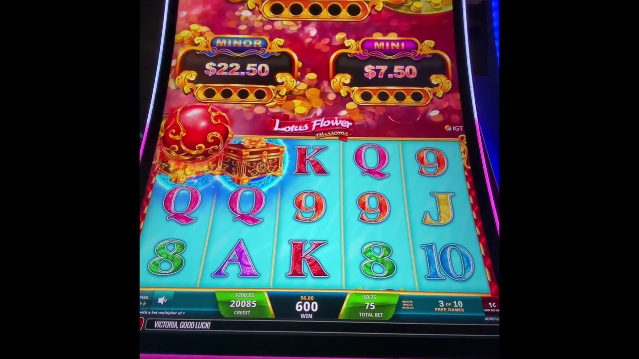 A Bonus Every 6 Minutes on this Lotus Flower Blossom Slot!