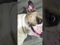 so cute