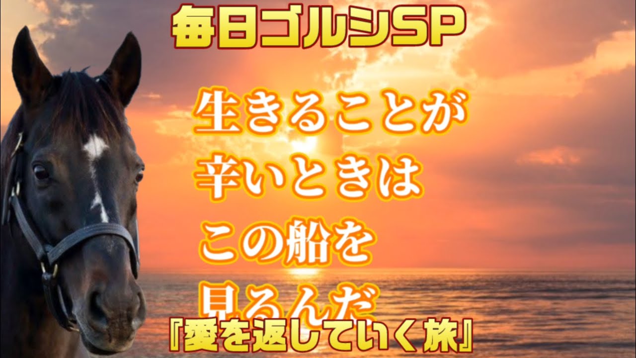 毎日ゴルシSP『愛を返していく旅』傑作選