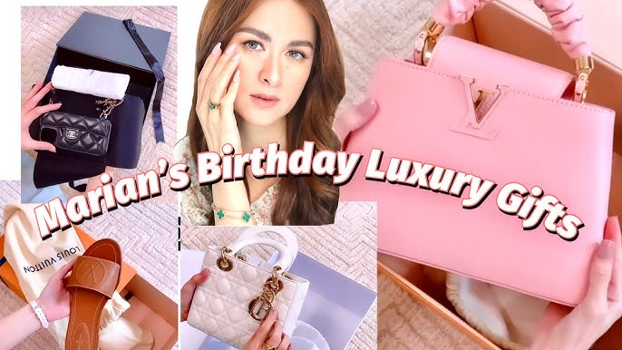 Marian Rivera Hermes Bag Collection (Part 1 Luxury Bag Collection) 