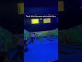 Come on mannn!!!! #viral #bowling #funny #shorts #youtubeshorts