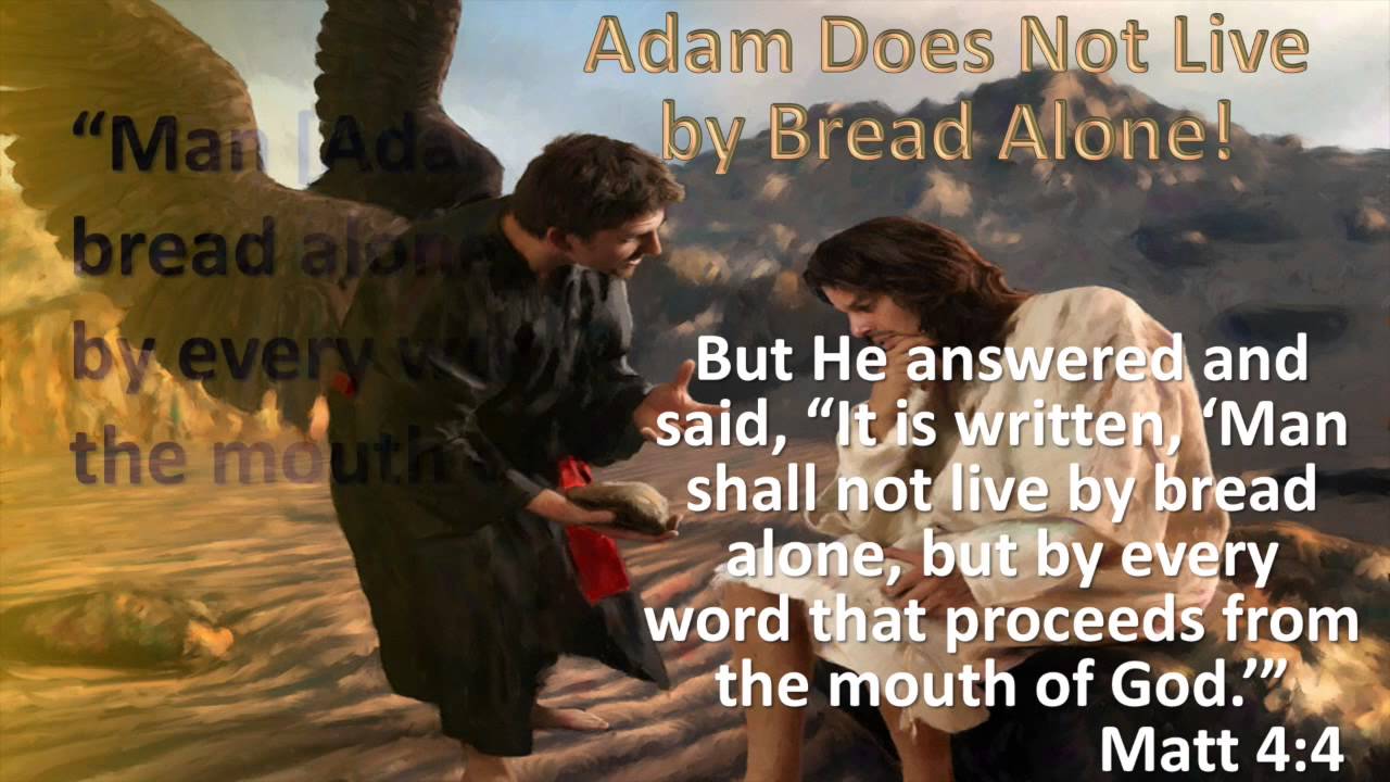 Victory in the Wilderness Jerry Finneman SS