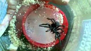 08012010(009).mp4