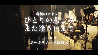 シェリフ / 奇跡のメドレー ひとりの悲しみ～また逢う日まで(コンサートVer.)