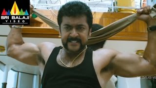 Singam Yamudu2 Climax Fight Scene Suriya, Hka, Hana Sri Balaji Video