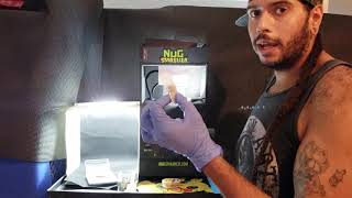 Draco Rosa Buds Turn into Rosin Press.