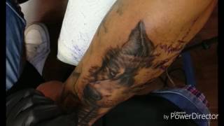 Spektra Edge X Works Jason Tattoo