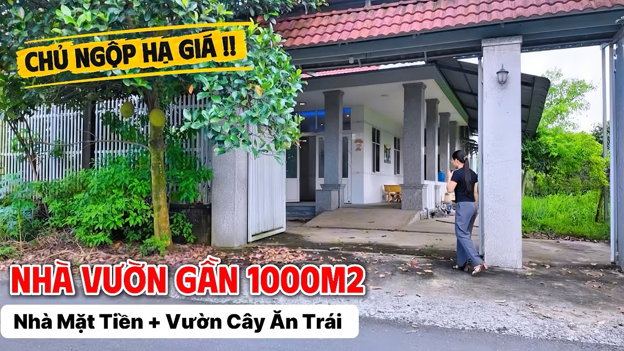 HẠ GIÁ ! NHÀ VƯỜN MẶT TIỀN NHỰA GẦN QUỐC LỘ 50 rộng gần 1000m2 | NHÀ VƯỜN BÌNH CHÁNH KIM NGÂN