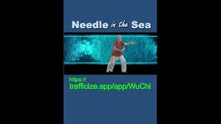 Needle in the Sea !... https://trafficize.app/app/WuChi