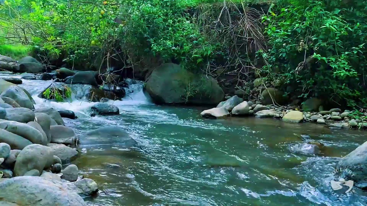 Relaxing River Sounds at Night | Peaceful Natural Water Flow for Better Sleep