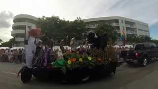 Stonewall Pride 2015 (Watch in HD)