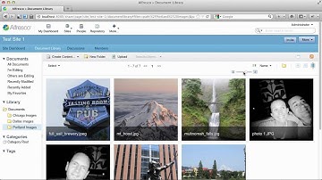New Rich Media Gallery View in Alfresco 4.2 Community