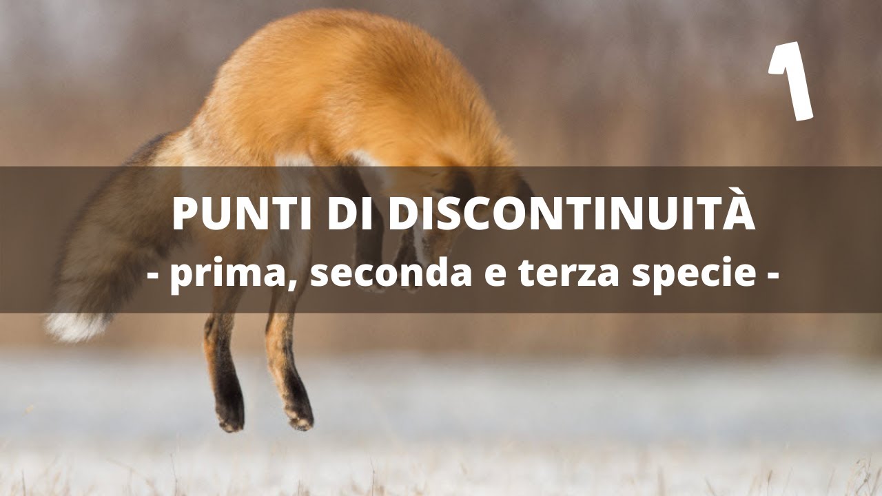 Punti di discontinuità di una funzione