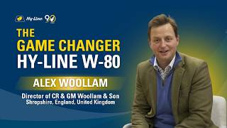 Hy-Line W-80:  Game Changer for UK Farmers