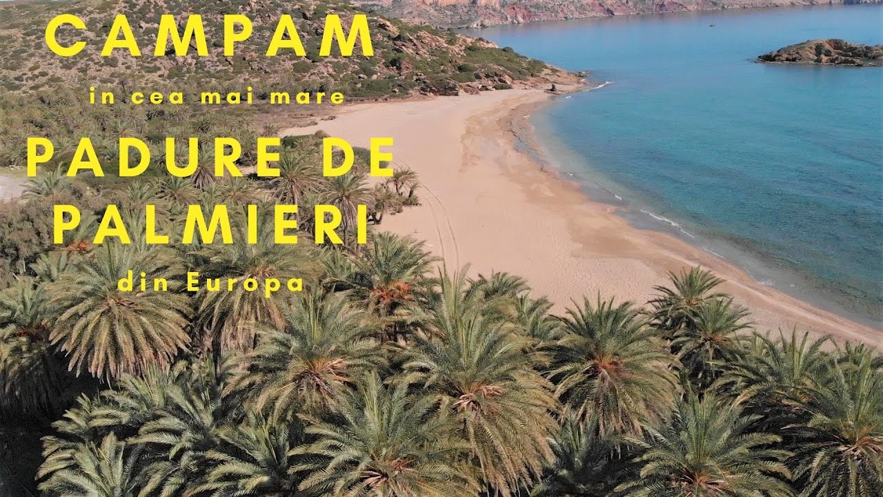 Campam in cea mai mare padure de palmieri din Europa/ Vanlife Creta/ Cu autorulota la Vai, Creta