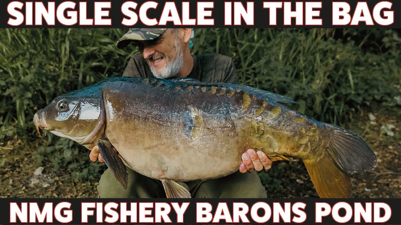 SINGLE SCALE!! - 24 hours at NMG Baron's Pond - Carp Fishing 