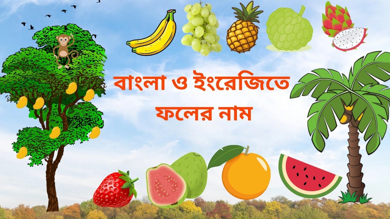 বাংলা ও ইংরেজিতে কুড়িটি ফলের নাম ll Fruits Name in Bengali and English ...