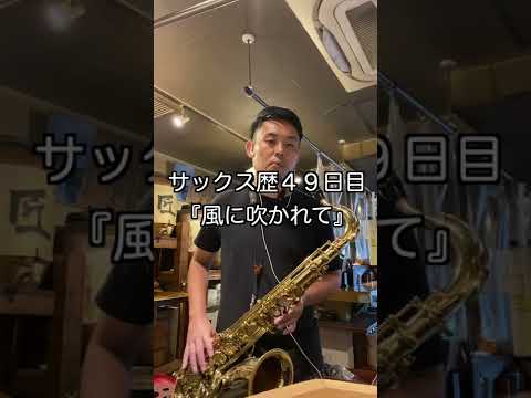 サックス歴49日目 『風に吹かれて』