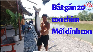 CÂU BÚN MÀ CÁ TOÀN CHỤP TRÊN TAY | BÚN CỐT N4 BAÕ GẦN 20 CON HỒ QUANG AN PHƯỚC MỘC HÓA