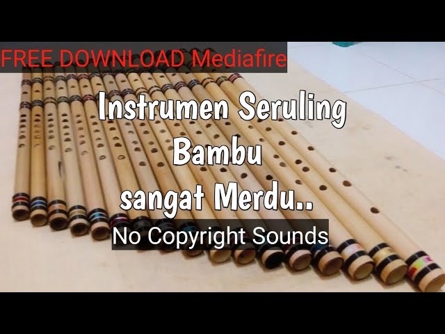 Suara Seruling Bambu (No Copyright) class=