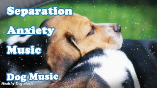 Music Relax For Dog - Dog's favorite music - Calm Your Energetic Dog with this Soothing Music