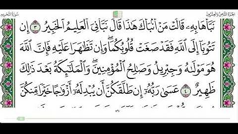 سورة التحريم من ٤ الى ٦ القارئ ماهر المعيقلي