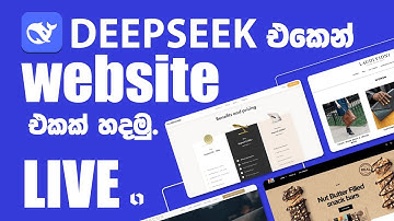 🔥 DeepSeek AI භාවිතයෙන් Website එකක් හදමු! | Live Website Development Session 🚀