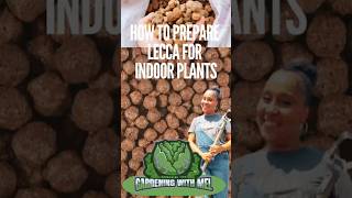 How To Prepare Your Leca For Planting Your Indoor Plants